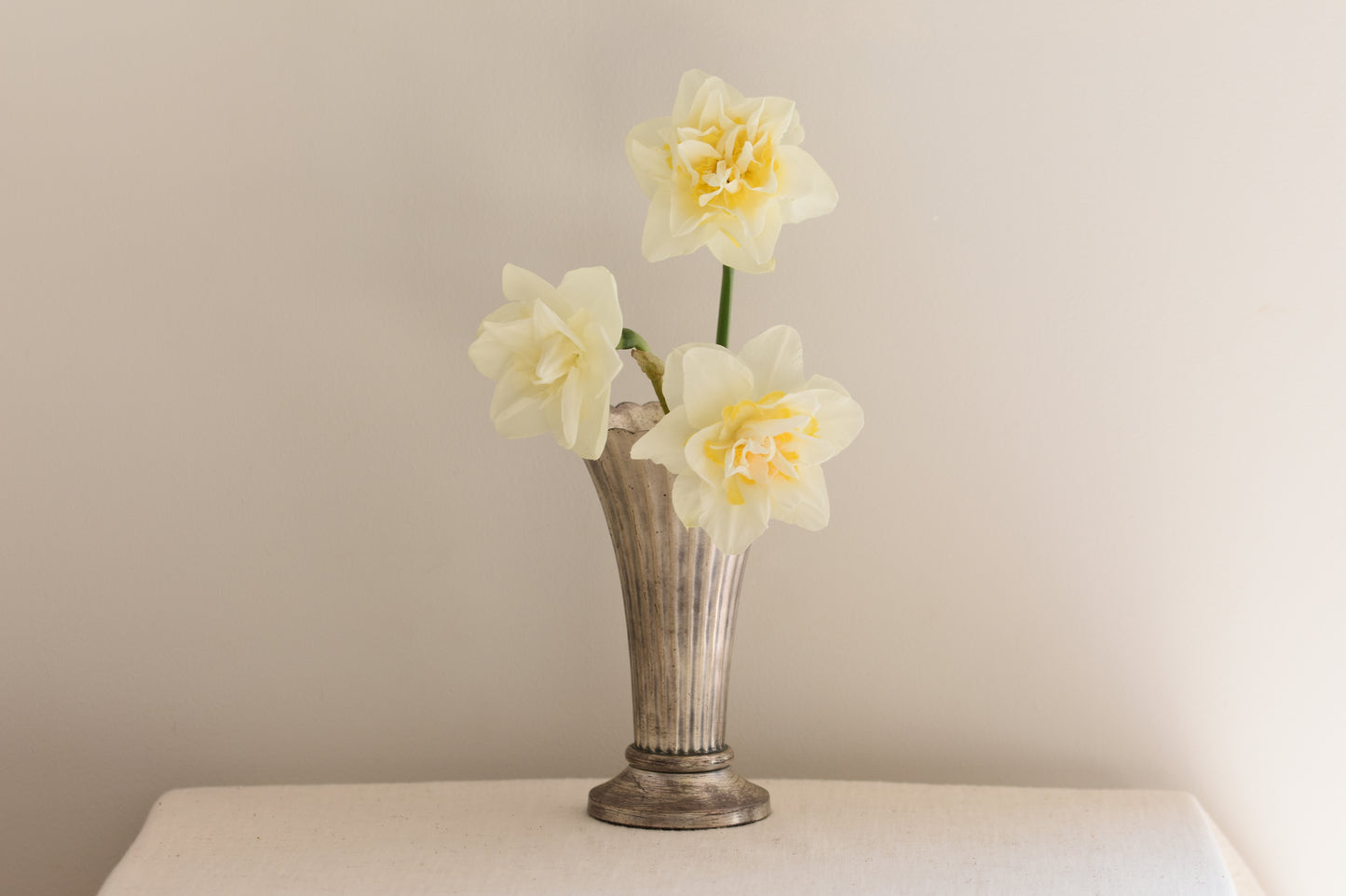 Vintage silver plated fluted vase with daffodils, on a beige background.