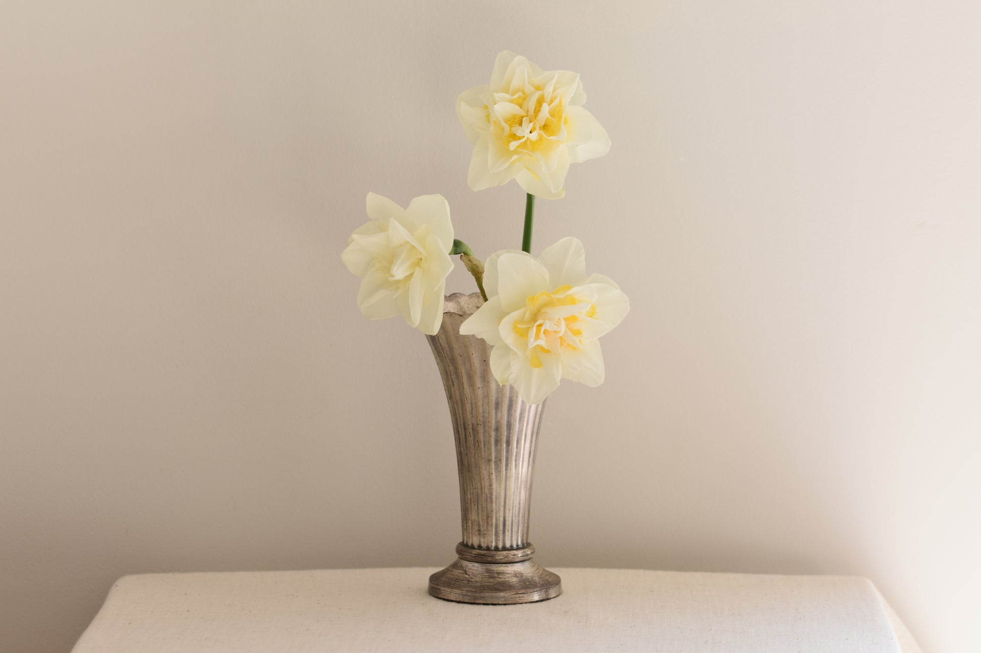 Vintage silver plated fluted vase with daffodils, on a beige background.