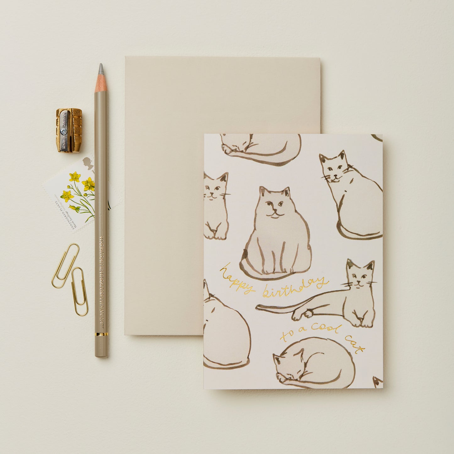 Wanderlust Paper Co happy birthday to a cool cat card with cream cat illustrations.